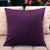 16x16 Velvet Cushion Cover with Silk Back and Zip